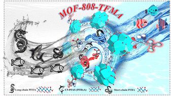 Multi-capture site design in a bifunctional Zr-MOF for broad