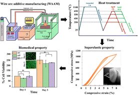 Wire arc additively manufactured nitinol with excellent superelasticity for biomedical applications