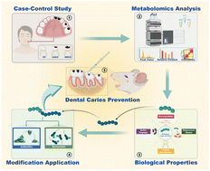 Discovery, biological evaluations, and modified applications of peptide AVHS derived from dental plaque biofilms