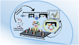 Impedimetric sensing of C-reactive protein using a novel molecularly imprinted polymer coupled with bismuth-enhanced cobalt ferrite nanocomposites for cardiovascular risk assessment