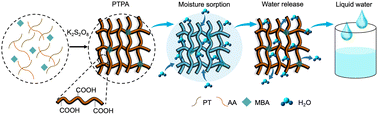 A nanoporous hygroscopic pectin-based sorbent for atmospheric water harvesting