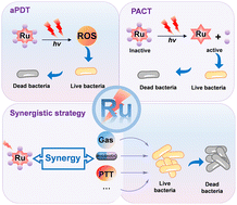 Ru(ii) complexes in antibacterial phototherapy: emerging strategies for ...