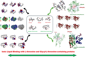 Volumetric, acoustic, and computational investigation of L-threonine and glycyl-L-threonine interactions in aqueous 1-octyl-3-methylimidazolium bromide solutions