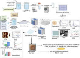 Development of a sodium alginate-silver/zinc oxide – cinnamaldehyde nanocomposite film for coating chicken meat and evaluation of meat safety