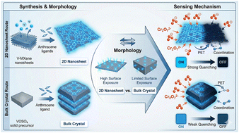 New MXene-derived anthracene-based metal–organic framework with controllable morphology for high-performance sensing