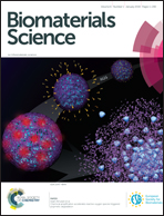 A generator of peroxynitrite activatable with red light - Chemical Science  (RSC Publishing) DOI:10.1039/D0SC06970A