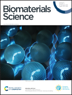 Artificial intelligence-rationalized balanced PPARα/γ dual agonism resets  dysregulated macrophage processes in inflammatory bowel disease