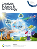 Improvement of photoelectrochemical HClO production under visible 