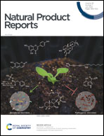 Plant biosynthetic gene clusters in the context of metabolic