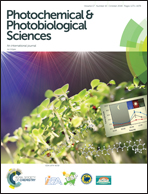 Controlling methylene blue aggregation: a more efficient alternative to  treat Candida albicans infections using photodynamic therapy -  Photochemical & Photobiological Sciences (RSC Publishing)  DOI:10.1039/C8PP00238J