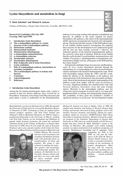 Lysine biosynthesis and metabolism in fungi