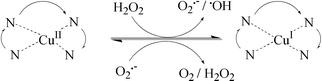 Graphical abstract: Redox behaviour and reactivity of some di-Schiff base copper(II) complexes towards reduced oxygen species [ ]