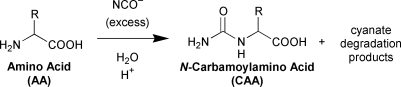 Graphical abstract: A pH-dependent cyanate reactivity model: application to preparative N-carbamoylation of amino acids