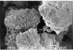 Graphical abstract: Intercalation of n-alkylamines into layered materials: a method for the recognition of isomorphism in semicrystalline compounds