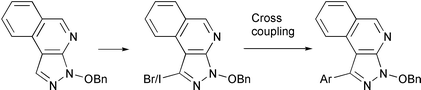 Graphical abstract: Halogenation of pyrazoloquinolines and pyrazoloisoquinolines. Theoretical analysis of the regioreactivity and cross-coupling of 3-halogen derivatives [ ]