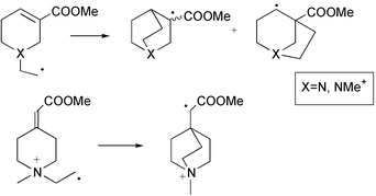 Graphical abstract: The role of the ester group in determining the regiochemistry of selected β-amino and β-ammonio radical cyclisations: generation of 1-azabicyclo[3.2.1]octyl- and -[2.2.2]octyl systems