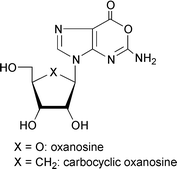 Graphical abstract: Synthesis of sugar-modified derivatives of the unusual nucleoside oxanosine and its carbocyclic analogs as potential inhibitors of HIV [ ] 1