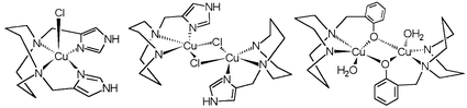 Graphical abstract: Novel copper(II) complexes with diazamesocyclic ligands functionalized by additional donor group(s): syntheses, crystal structures and magnetic properties