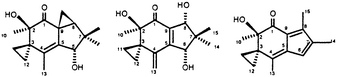 Graphical abstract: Secondary mould metabolites. Part 59.1 Sesquiterpene illudanes: semi-synthesis of new illudins, structures and biological activity