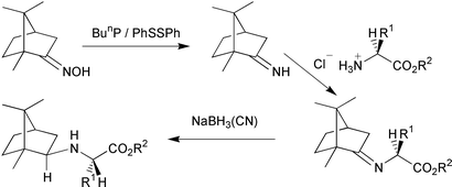 Graphical abstract: Studies on the preparation of camphorylidene derivatives of α-amino acids