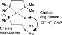 Graphical abstract: Structure and dynamics of a platinum(II) aminophosphine complex and its nucleobase adducts