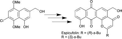 Graphical abstract: Synthesis of espicufolin based on 6-endo ring closure of o-alkynoylnaphthols [ ]