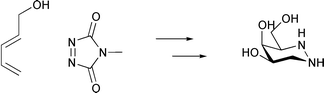 Graphical abstract: Synthesis of 1-azagalactofagomine, a potent galactosidase inhibitor