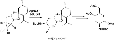 Graphical abstract: Ring-fused gem-dibromocyclopropanes as precursors to enantiomerically pure D- and L-series 3-deoxy- and 2-amino-2,3-dideoxyaldohexose derivatives