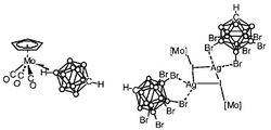 Graphical abstract: Synthesis and characterisation of {Mo(η-L)(CO)3}+ (η-L = C5H5 or C5Me5) fragments ligated with [CB11H12]− and derivatives. Isolation and structural characterisation of an intermediate in a silver salt metathesis reaction