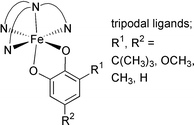 Graphical abstract: The systematic influence of tripodal ligands on the catechol cleaving activity of iron(III) containing model compounds for catechol 1,2-dioxygenases [ ]