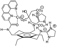 Graphical abstract: Metal triggered fluorescence sensing of citrate using a synthetic receptor