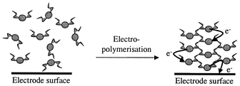Graphical abstract: Electropolymerisable bipyridine ruthenium(II) complexes. Synthesis and electrochemical characterisation of 4-(3-methoxystyryl)- and 4,4′-di(3-methoxystyryl)-2,2′-bipyridine ruthenium complexes