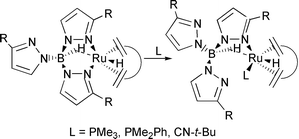 Graphical abstract: Synthesis and characterisation of a series of ruthenium scorpionate complexes with B–H ⋯ M agostic interactions. Crystal structure of [RuH(κ2-N,BH TpTn)(PMe3)(cod)] (TpTn = hydrotris[3-(2-thienyl)pyrazol-1-yl]borate) [ ]  [ ]