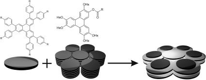 Graphical abstract: CPI (complementary polytopic interaction) stabilised liquid crystal compounds formed by esters of 2-hydroxy-3,6,7,10,11-pentakis(hexyloxy)triphenylene