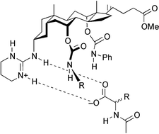 Graphical abstract: Steroidal guanidines as enantioselective receptors for N-acyl α-amino acids. Part 1. 3α-Guanylated carbamates derived from cholic acid