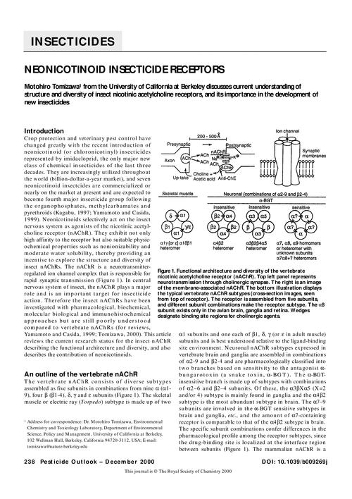 Neonicotinoid insecticide receptors