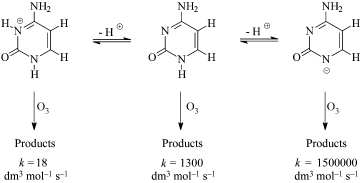 Graphical abstract: Rate constants of ozone reactions with DNA, its constituents and related compounds