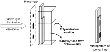 Graphical abstract: Photopolymerization of aniline derivatives by photoinduced electron transfer for application to image formation