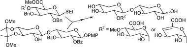 Graphical abstract: Synthesis of uronic acid-containing xylans found in wood and pulp