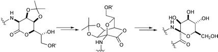 Graphical abstract: Carbopeptoids: peptides and diketopiperazines incorporating the anomeric centre of mannopyranose