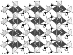 Graphical abstract: On the new oxovanadium phosphate NaZnVOPO4(HPO4) obtained at 510 K from hydrothermal treatment