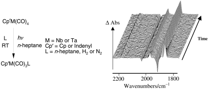 Graphical abstract: An investigation into the photochemical reactions of MCp(CO)4 (Cp = η5-C5H5) and M(η5-C9H7)(CO)4 (η5-C9H7 = indenyl; M = Nb or Ta) with CO, H2 and N2 in solution at room temperature