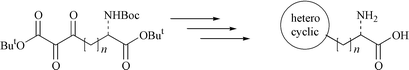 Graphical abstract: The efficient, enantioselective synthesis of quinoxaline, pyrazine and 1,2,4-triazine substituted α-amino acids from vicinal tricarbonyls