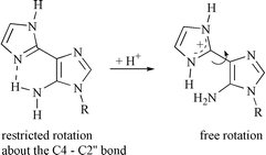 Graphical abstract: A multinuclear NMR study of the restricted rotation in a bi-imidazole nucleoside [ ]