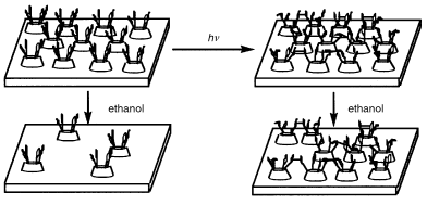 Graphical abstract: Enhancement of desorption resistance of adsorbed monolayers of calix[4]resorcinarenes bearing cinnamoyl residues by photodimerization