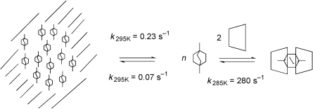 Graphical abstract: Structure and dynamic stability of cyclodextrin inclusion complexes with 1,4-disubstituted bicyclo[2.2.2]octanes