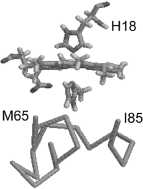 Graphical abstract: 1H NMR study of 2-methylimidazole binding to cytochrome c: a comprehensive investigation of the role of the methyl substituent on the ligand binding affinity and heme electronic structure in imidazole–cytochrome c complexes