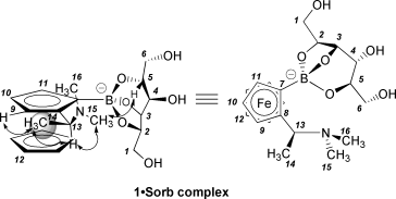 Graphical abstract: An illusive chiral aminoalkylferroceneboronic acid. Structural assignment of a strong 1 ∶ 1 sorbitol complex and new insight into boronate–polyol interactions
