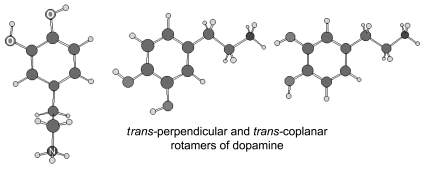 Graphical abstract: Computational study on the conformations of dopamine, its α- and ortho-methylated derivatives and their N-protonated forms