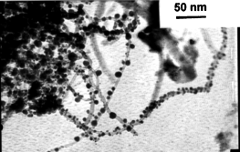 Graphical abstract: Growth of Pd, Pt, Ag and Au nanoparticles on carbon nanotubes